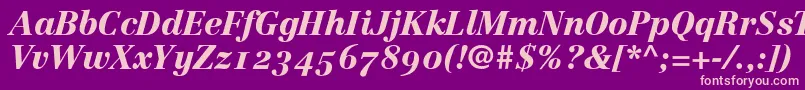 LinotypeCentennial96BlackItalicOldstyleFigures Font – Pink Fonts on Purple Background