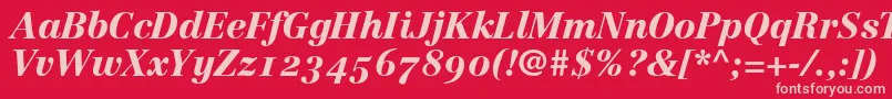 LinotypeCentennial96BlackItalicOldstyleFigures Font – Pink Fonts on Red Background