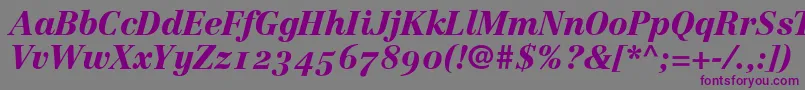 LinotypeCentennial96BlackItalicOldstyleFigures Font – Purple Fonts on Gray Background