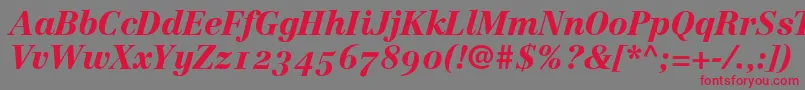 フォントLinotypeCentennial96BlackItalicOldstyleFigures – 赤い文字の灰色の背景