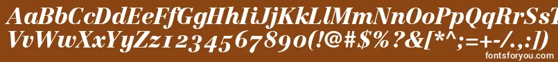 LinotypeCentennial96BlackItalicOldstyleFigures Font – White Fonts on Brown Background