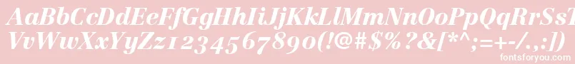 LinotypeCentennial96BlackItalicOldstyleFigures Font – White Fonts on Pink Background