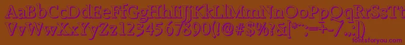 RaleighshadowRegular Font – Purple Fonts on Brown Background