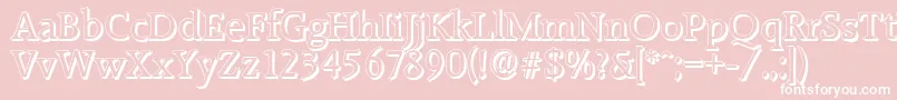 RaleighshadowRegular Font – White Fonts on Pink Background