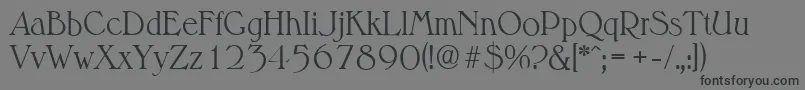 MelbourneserialLightRegular Font – Black Fonts on Gray Background