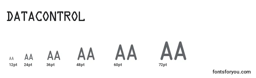 DataControl Font Sizes