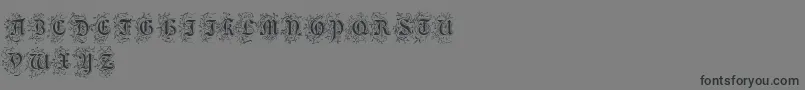 FoliarInitials-Schriftart – Schwarze Schriften auf grauem Hintergrund