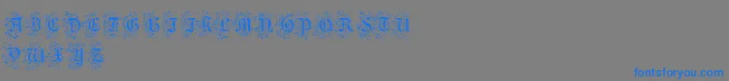 FoliarInitials Font – Blue Fonts on Gray Background