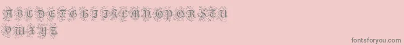 FoliarInitials Font – Gray Fonts on Pink Background