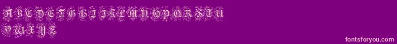 FoliarInitials Font – Pink Fonts on Purple Background