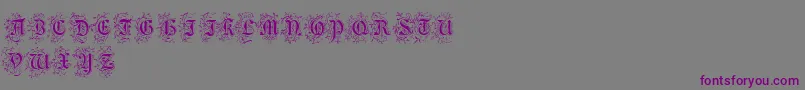 FoliarInitials-Schriftart – Violette Schriften auf grauem Hintergrund