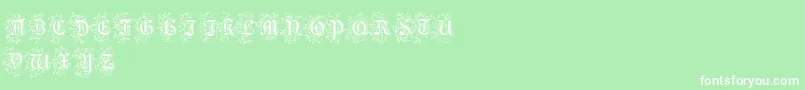 FoliarInitials Font – White Fonts on Green Background