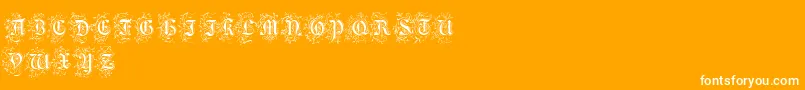 FoliarInitials Font – White Fonts on Orange Background
