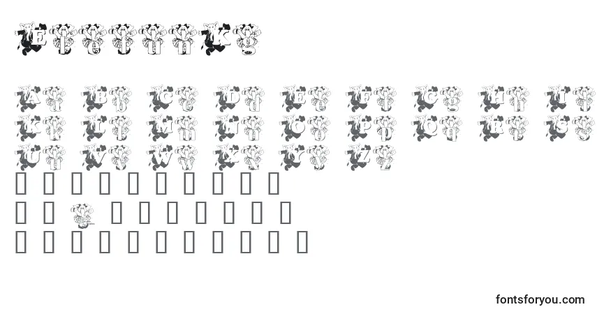 Schriftart ElefunKg – Alphabet, Zahlen, spezielle Symbole