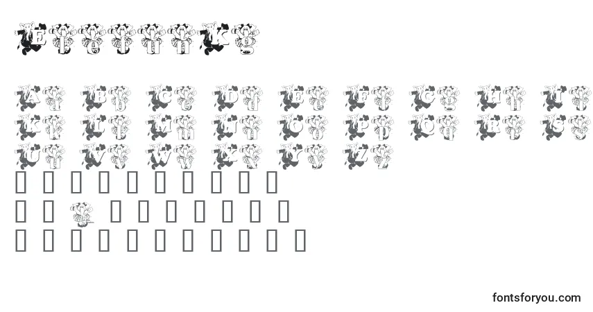 ElefunKgフォント–アルファベット、数字、特殊文字