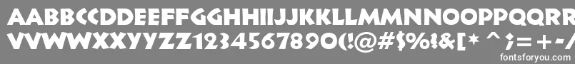 Infr011n Font – White Fonts on Gray Background