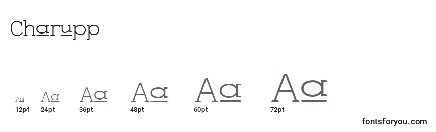 Charupp Font Sizes