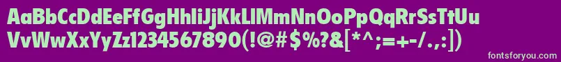 FlyerLtBlackCondensed Font – Green Fonts on Purple Background