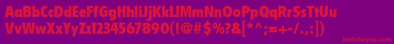 FlyerLtBlackCondensed Font – Red Fonts on Purple Background