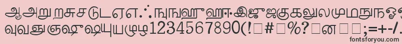PalladamMedium Font – Black Fonts on Pink Background