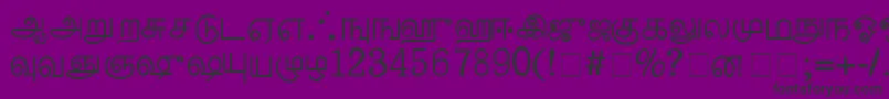 PalladamMedium Font – Black Fonts on Purple Background