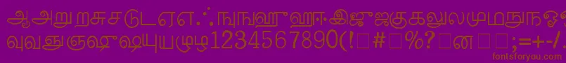 PalladamMedium Font – Brown Fonts on Purple Background