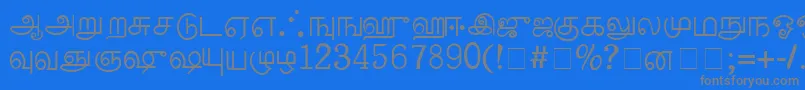 PalladamMedium Font – Gray Fonts on Blue Background