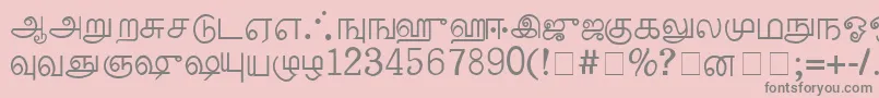 PalladamMedium Font – Gray Fonts on Pink Background