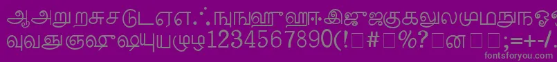 フォントPalladamMedium – 紫の背景に灰色の文字