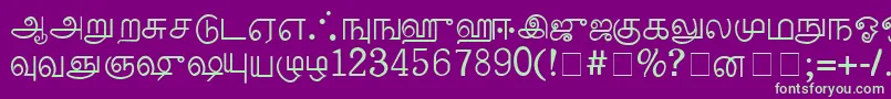 PalladamMedium Font – Green Fonts on Purple Background