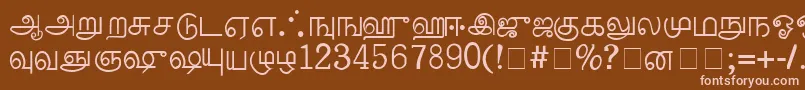 PalladamMedium Font – Pink Fonts on Brown Background