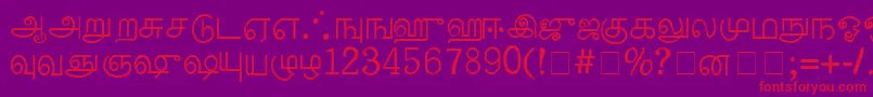 PalladamMedium Font – Red Fonts on Purple Background