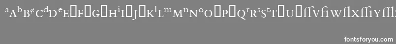 フォントBemboExpert – 灰色の背景に白い文字