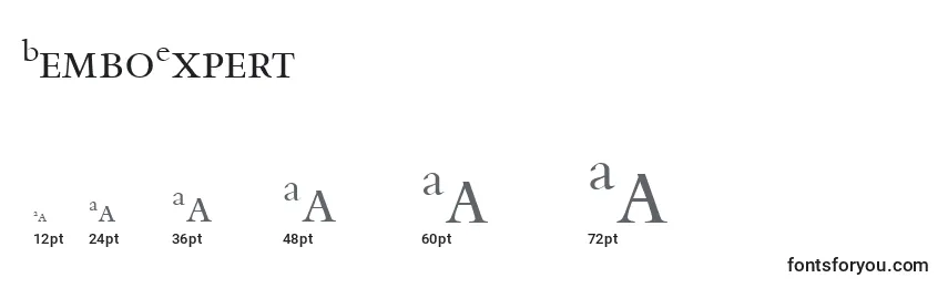 BemboExpert Font Sizes