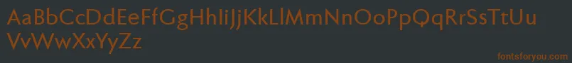 Шрифт Fabersanspro65reduced – коричневые шрифты на чёрном фоне