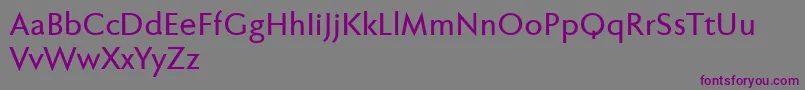Шрифт Fabersanspro65reduced – фиолетовые шрифты на сером фоне