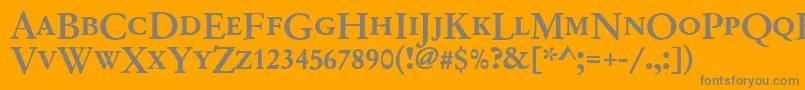 Garamondno2dcdmed Font – Gray Fonts on Orange Background