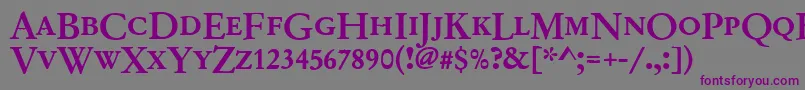 Garamondno2dcdmed-Schriftart – Violette Schriften auf grauem Hintergrund
