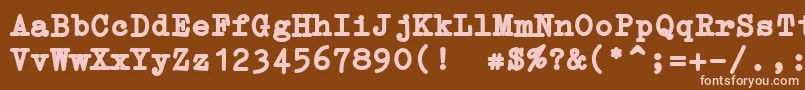 ErikaTypeB Font – Pink Fonts on Brown Background