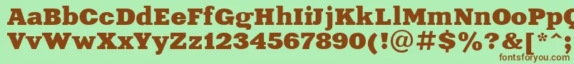 XeniaExtendedCyrillic Font – Brown Fonts on Green Background