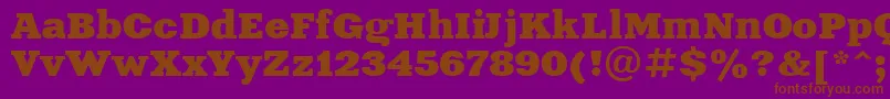 XeniaExtendedCyrillic-Schriftart – Braune Schriften auf violettem Hintergrund