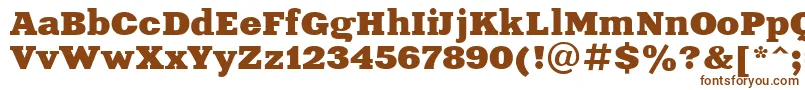 XeniaExtendedCyrillic Font – Brown Fonts on White Background