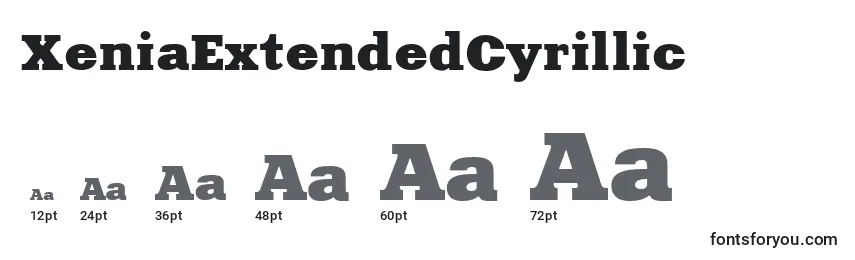 Размеры шрифта XeniaExtendedCyrillic