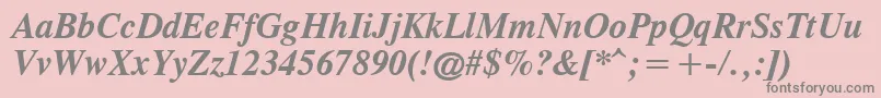 CgTimesРџРѕР»СѓР¶РёСЂРЅС‹Р№РљСѓСЂСЃРёРІ Font – Gray Fonts on Pink Background