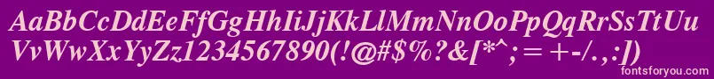CgTimesРџРѕР»СѓР¶РёСЂРЅС‹Р№РљСѓСЂСЃРёРІ Font – Pink Fonts on Purple Background