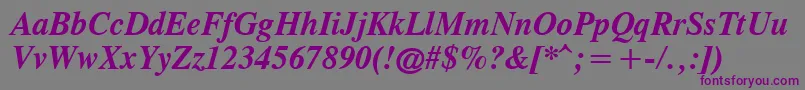 CgTimesРџРѕР»СѓР¶РёСЂРЅС‹Р№РљСѓСЂСЃРёРІ Font – Purple Fonts on Gray Background