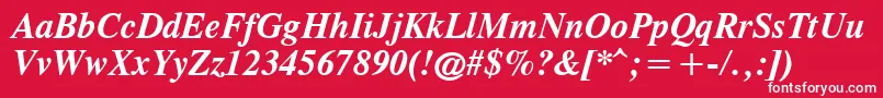 CgTimesРџРѕР»СѓР¶РёСЂРЅС‹Р№РљСѓСЂСЃРёРІ Font – White Fonts on Red Background