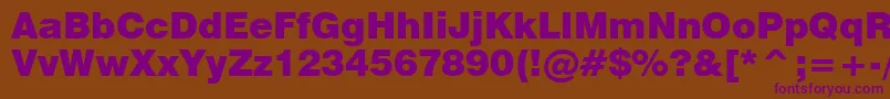 Swiss721BlackBt Font – Purple Fonts on Brown Background