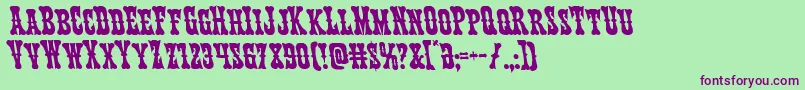 Texasrangerleft Font – Purple Fonts on Green Background