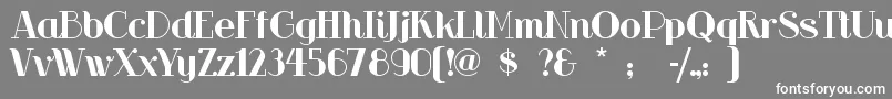 Riotsqua Font – White Fonts on Gray Background